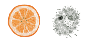 The collision of Art and Science